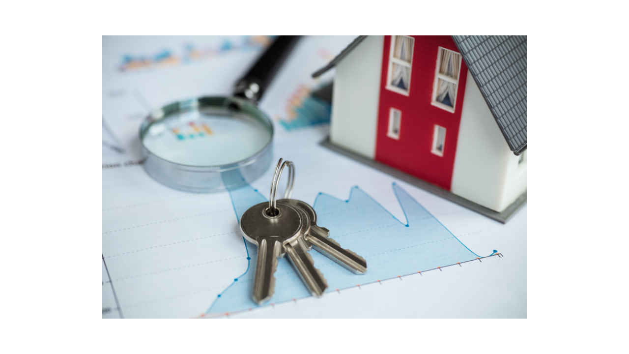 How Much Should You Put Down On Your Mortgage Mortgage Tree